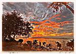 Sunset Reflections-2 - NFT